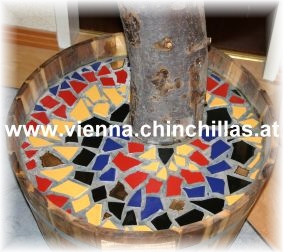 Kletterbaum Mosaik Chinchilla Vienna