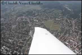 steile Aussichten über Wien Chinchilla Vienna Chinchillas