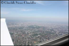 Wien im Flug zu Füßen gelegt Chinchilla Vienna Chinchillas